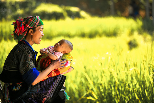 Cuộc sống gia đình