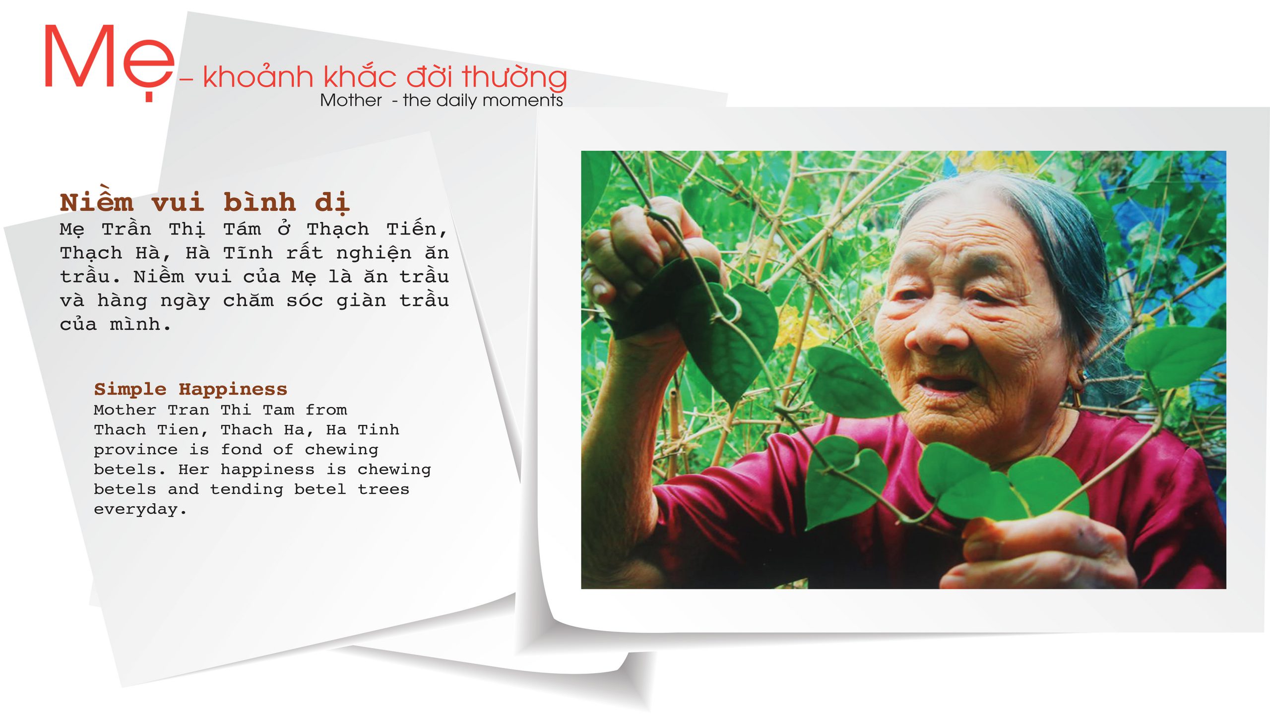 Mẹ và Trái Tim Người Lính
