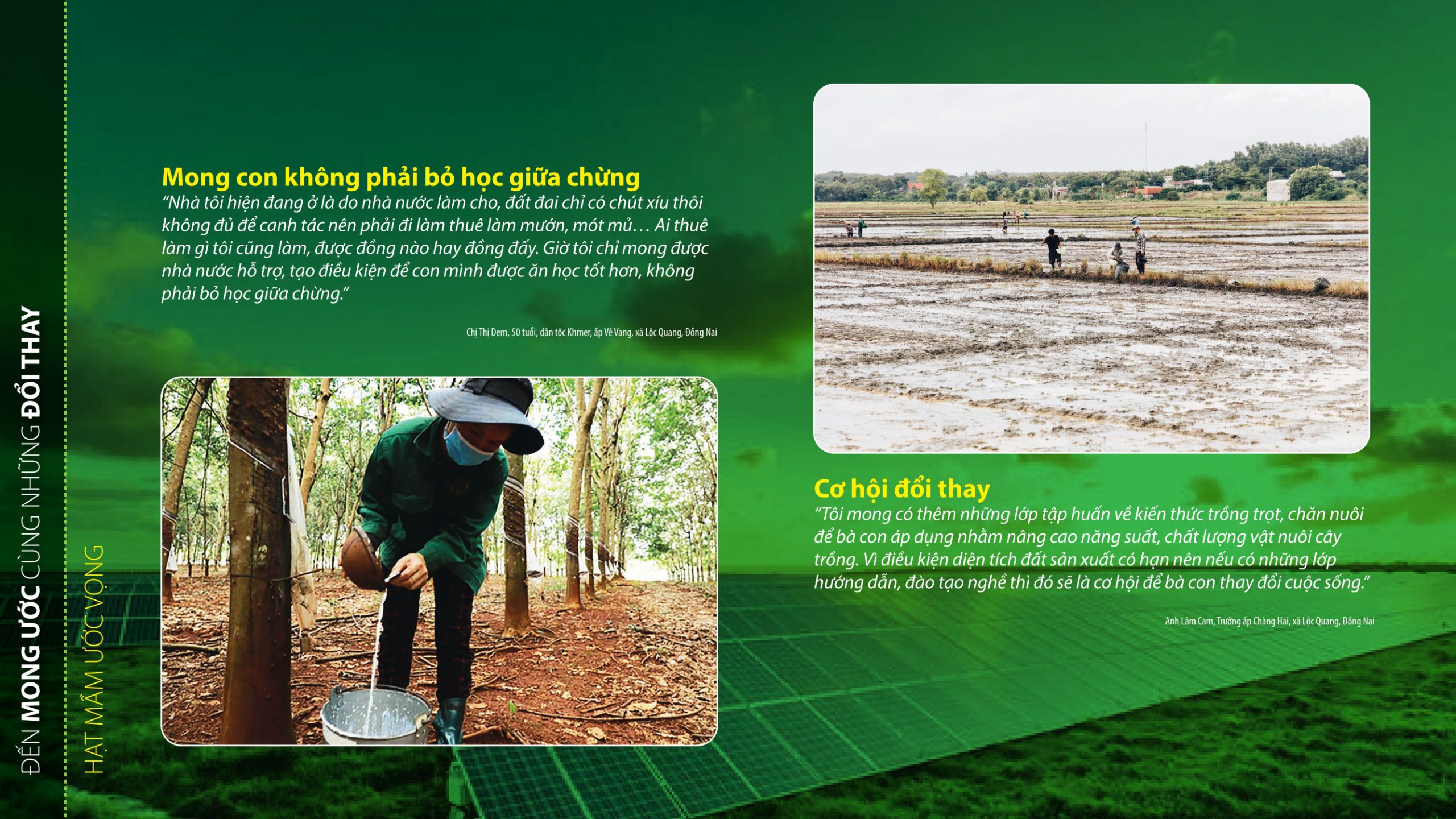 Đường đến hạnh phúc