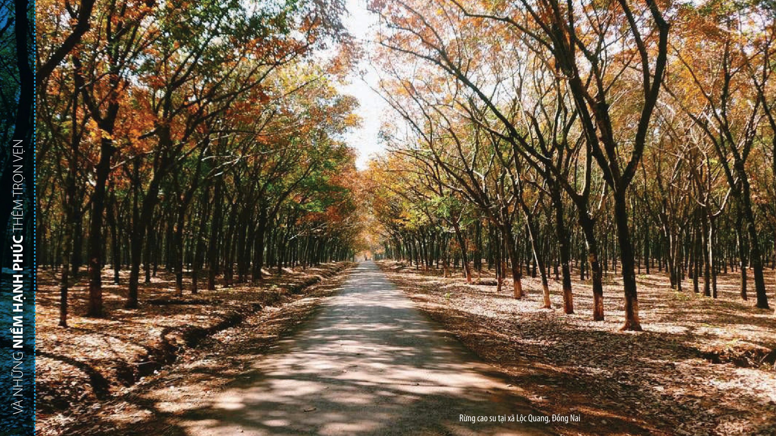 Đường đến hạnh phúc