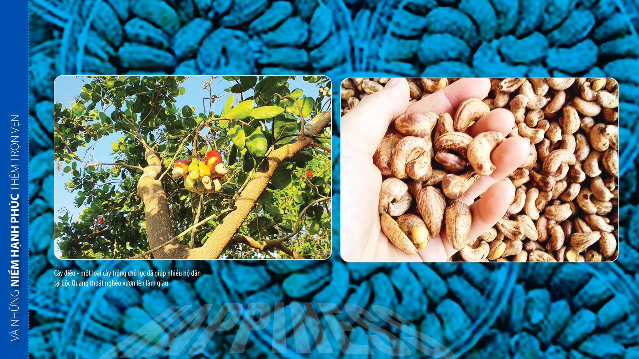 Đường đến hạnh phúc