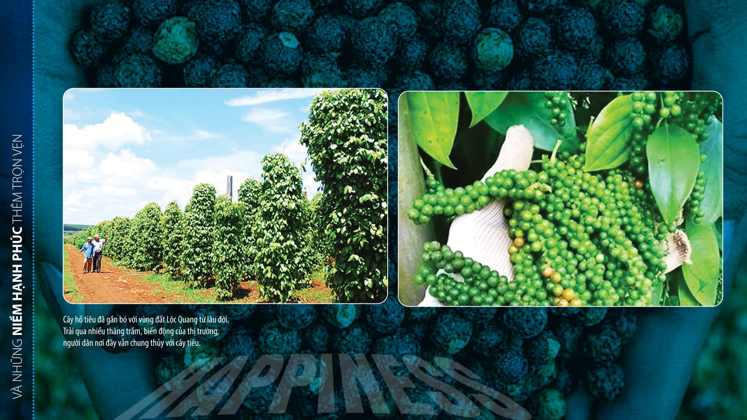 Đường đến hạnh phúc